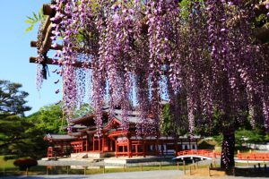 Đền Nezu Jinja